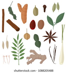 Spice leaf herb food vector