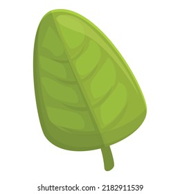 Spice leaf icon cartoon vector. Herb plant. Garden spice