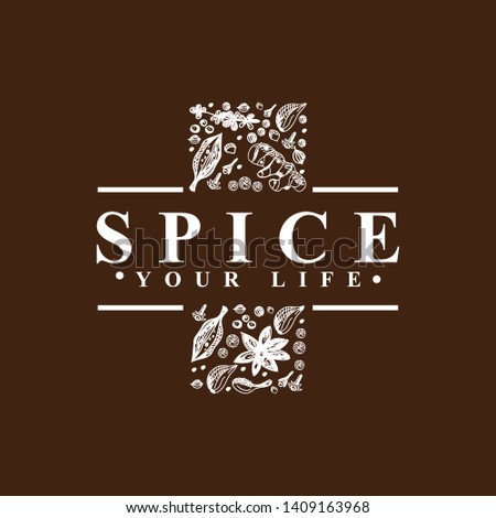 Spice for medical cross logo vector