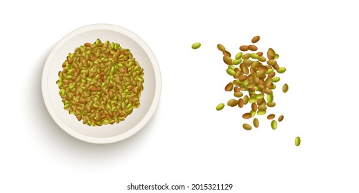 Spice on bowl and higt quality version vector illustration on white background