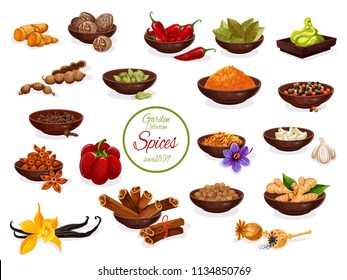 Spice poster of condiment and seasoning for cooking food ingredient design. Pepper, chili and cinnamon, ginger, anise star and vanilla, cardamom, nutmeg and bay leaf, poppy seed, saffron, turmeric