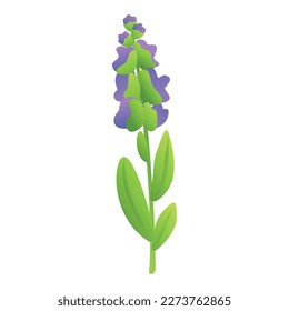 Spice sage icon cartoon vector. Leaf plant. Salvia aroma