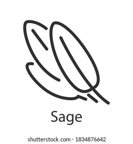 Spice sage, linear icon. Editable stroke