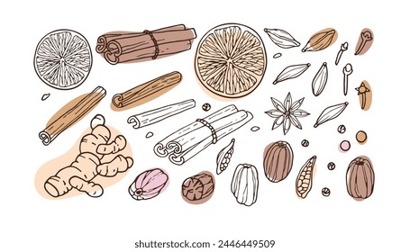 Spice set. Doodle Outline vector illustration on white background. Food and drink recipe ingredients. Organic product sketch for cooking and spice stores sign. Flavor cooking ingredient