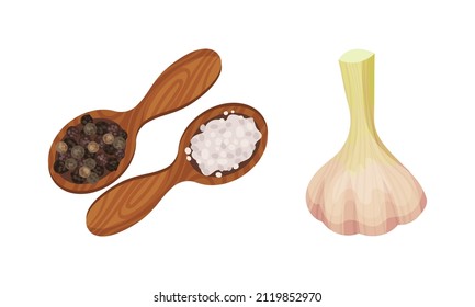 Spice set. Garlic, pepper and salt in wooden spoons vector illustration