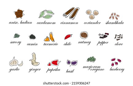 Un conjunto de especias con una línea y puntos de color con los nombres de cada especia