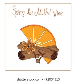 Spice Set for mulled wine isolated on white background vector sketch