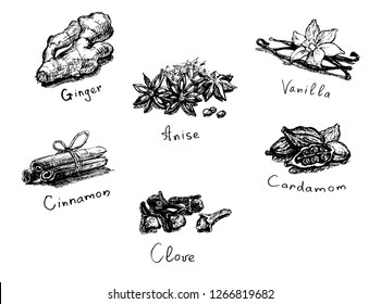 Spice set. Realistic drawing and text