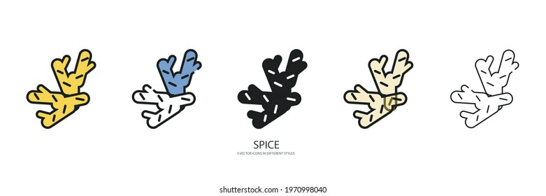 Spice set vector type icon
