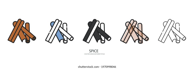 Spice set vector type icon