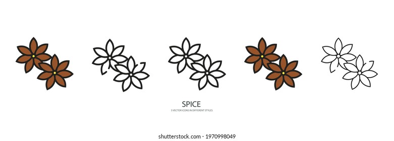 Spice set vector type icon