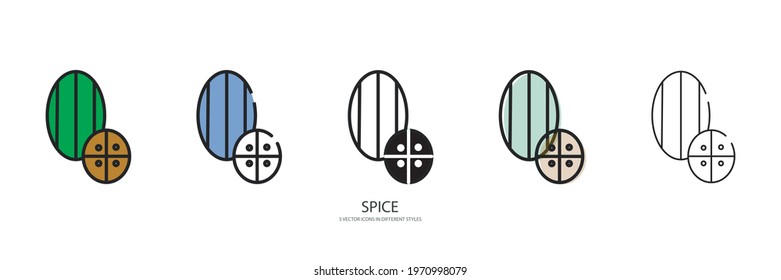 Spice set vector type icon