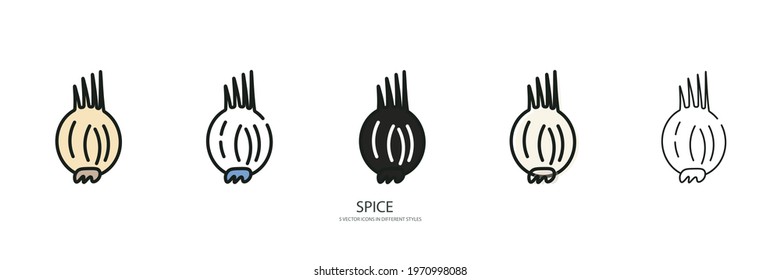 Spice set vector type icon
