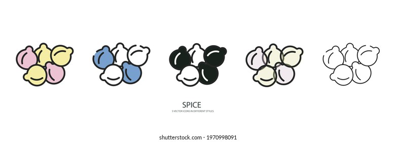 Spice set vector type icon