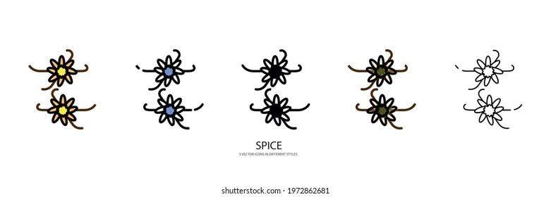 Spice set vector type icon