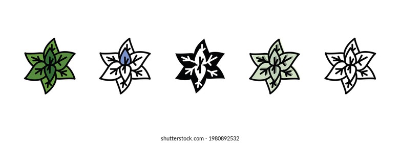 spice set vector type icon