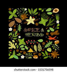 Spice shop design template, herbs and spices background. Vector illustration