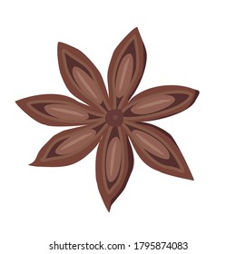 Spice star anise. Vector drawing on a white background isolated. 