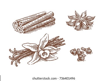 Spice. Vanilla, anise, cinnamon and clove. Hand drawn engraving style illustrations.