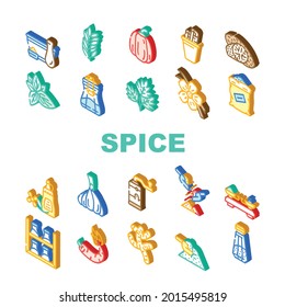 Spice Vegetable Food Collection Icons Set Vector. Spice Vanilla Sticks And Cinnamon, Delicacy Taste Basil Leaves And Parsley, Mustard And Paprika Isometric Sign Color Illustrations