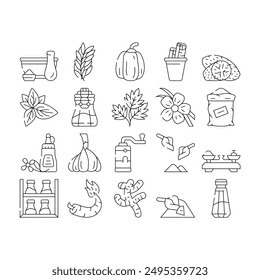 Spice Vegetable Food Collection Icons Set Vector. Spice Vanilla Sticks And Cinnamon, Delicacy Taste Basil Leaves And Parsley, Mustard And Paprika Black Contour Illustrations