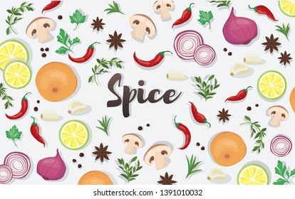 spice and vegetable foods background vector illustration EPS10