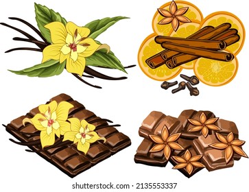 Spices and chocolate in vector illustration.Color vector illustration with a set of spices and chocolate on a transparent background.