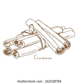 Spices: cinnamon, sketch illustration.