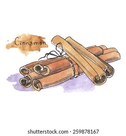 Spices: cinnamon, watercolor illustration.