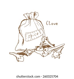 Spices: clove, sketch illustration.