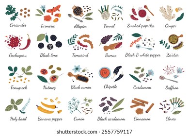 Spices collection, vector illustrations set of national herbs and condiments, cooking ingredients and spice blends, chili pepper, fennel, tamarind, turmeric doodle icons, ground in spoons and bowls