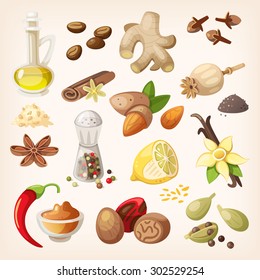 Spices, condiments and herbs decorative elements and icons. Seeds, fruit, flower buds, leaves, blends and roots of condiment plants.