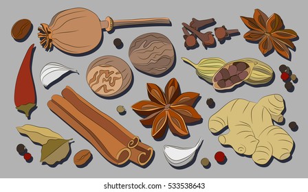 Spices, condiments and herbs decorative elements