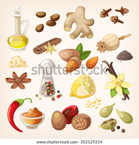 Spices, condiments and herbs decorative elements and icons. Seeds, fruit, flower buds, leaves, blends and roots of condiment plants.