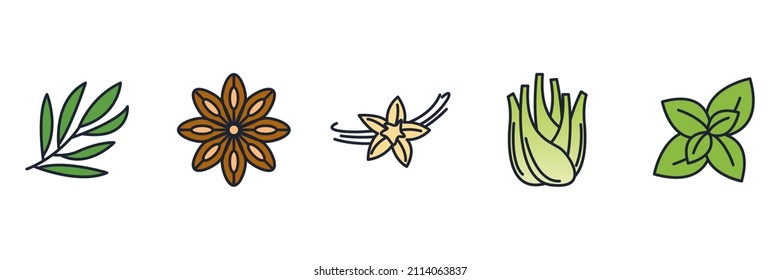 Spices, condiments and herbs elements set icon symbol template for graphic and web design collection logo vector illustration
