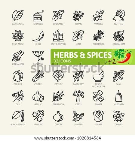 Spices, condiments and herbs  - minimal thin line web icon set. Outline icons collection. Simple vector illustration.