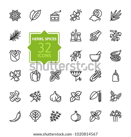 Spices, condiments and herbs  - minimal thin line web icon set. Outline icons collection. Simple vector illustration.