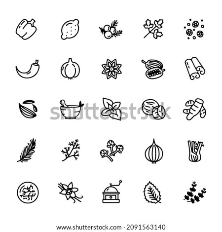 Spices, condiments and herbs - minimal thin line web icon set. Outline icons collection. Simple vector illustration.