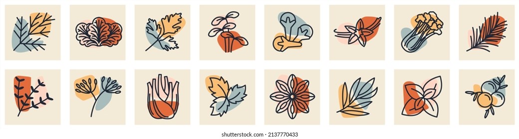Spices, condiments and herbs set icon symbol template for graphic and web design collection logo vector illustration