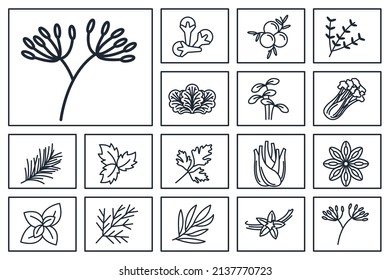 Gewürze, Gewürze und Kräuter setzen Symbol-Vorlage für grafische und Web-Design-Kollektion Logo Vektorgrafik