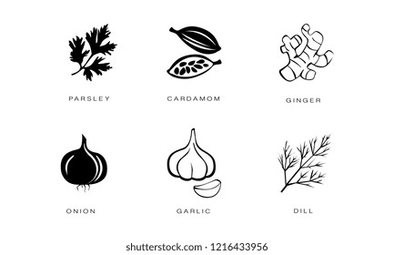 Spices and condiments icons set, parsley, cardamom, ginger, onion, garlic, dill vector Illustration black badges on a white background