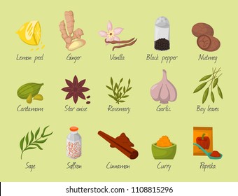 Spices condiments and seasoning food herbs decorative healthy organic relish flavouring vegetable vector illustration.