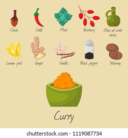 Spices condiments and seasoning food herbs decorative healthy organic relish flavouring vegetable vector illustration.