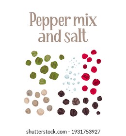 Spices for cooking. Set of black, green, white and red whole pepper and coarse sea salt.  Vector hand drawn flat isolated illustration with dry brush texture and lettering for your design.