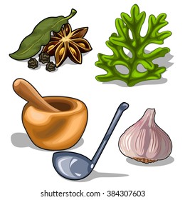Spices for cooking. Vector illustration.