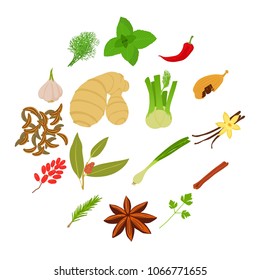 Spices craft icons set. Cartoon illustration of 16 spices vector icons for web
