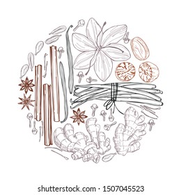 Spices for dessert and baking. Hand drawn sketch illustration