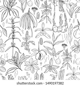 Spices for dessert and baking. Vector seamless pattern. Hand drawn sketch illustration