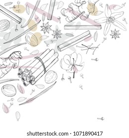 Spices for dessert, and baking.Vector background. Hand drawn sketch illustration