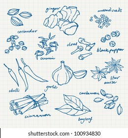 Spices doodles vector set